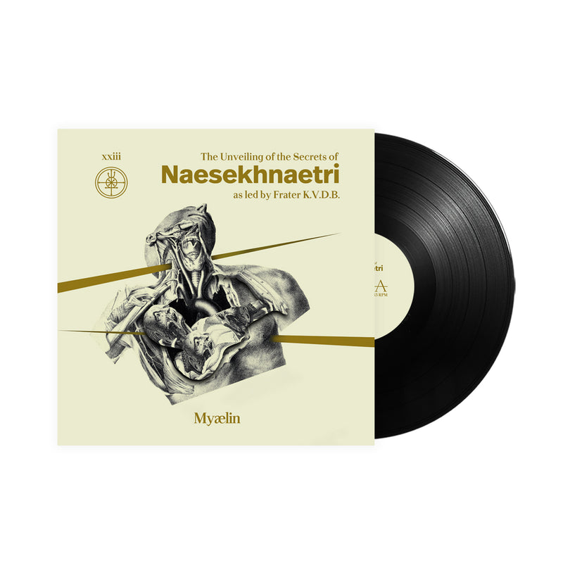 f6097cd581e8fc6688d2b8de05035a65