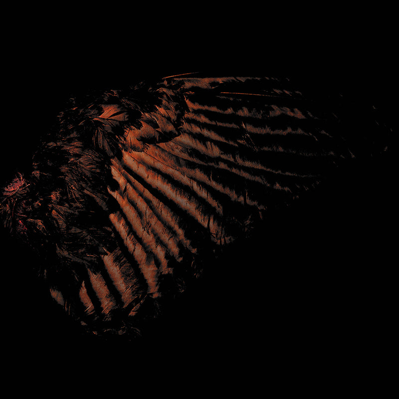 8b5f40f4d22dcc88c7b60c73266118be