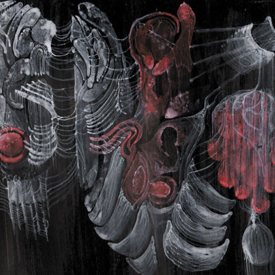 6e5bc28c6b69ca68f05c9c442793e3c8