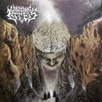 3c85491f40feb63a93a2f05d51cf4b90