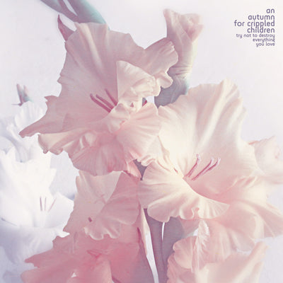 a247e322dd8e8294c24669a7ea33c2ed