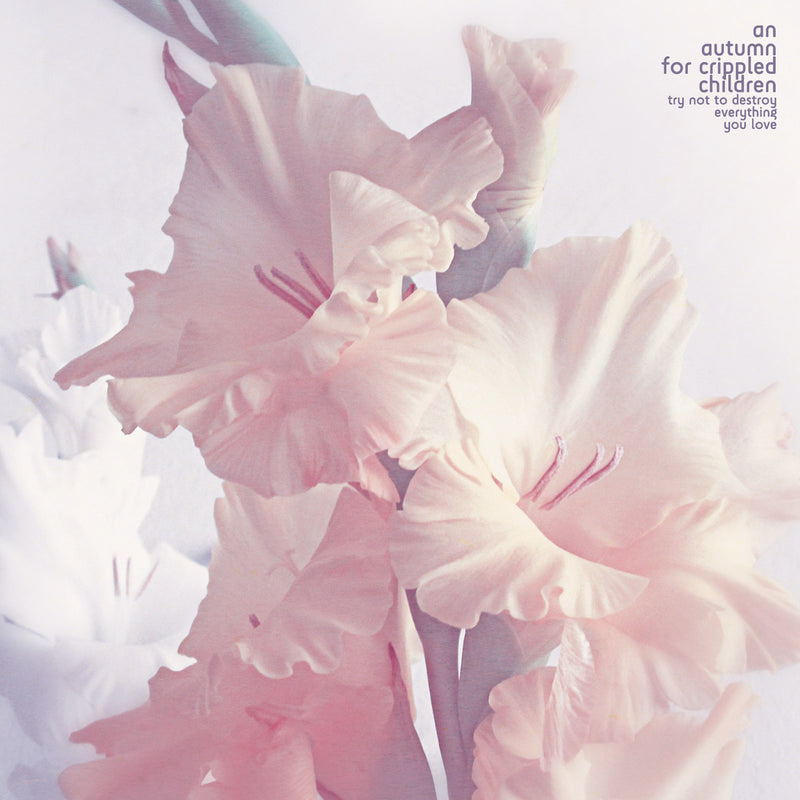 a247e322dd8e8294c24669a7ea33c2ed