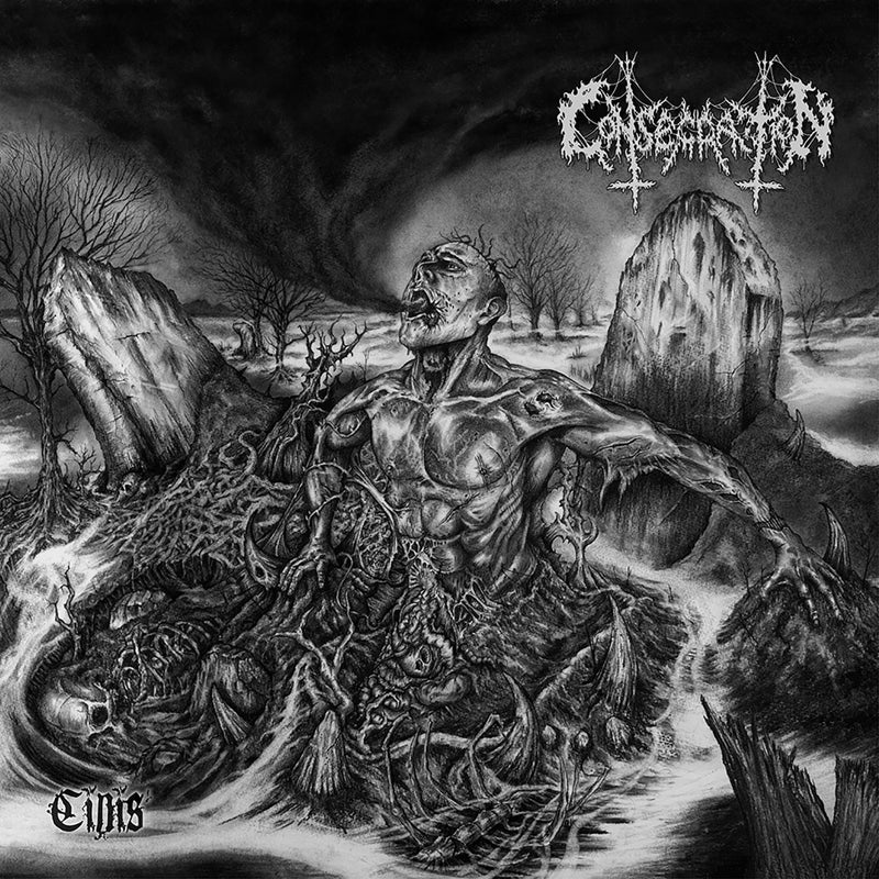 Consecration - Cinis CD